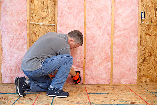 Best Energy Efficiency Solutions in Danville, IA